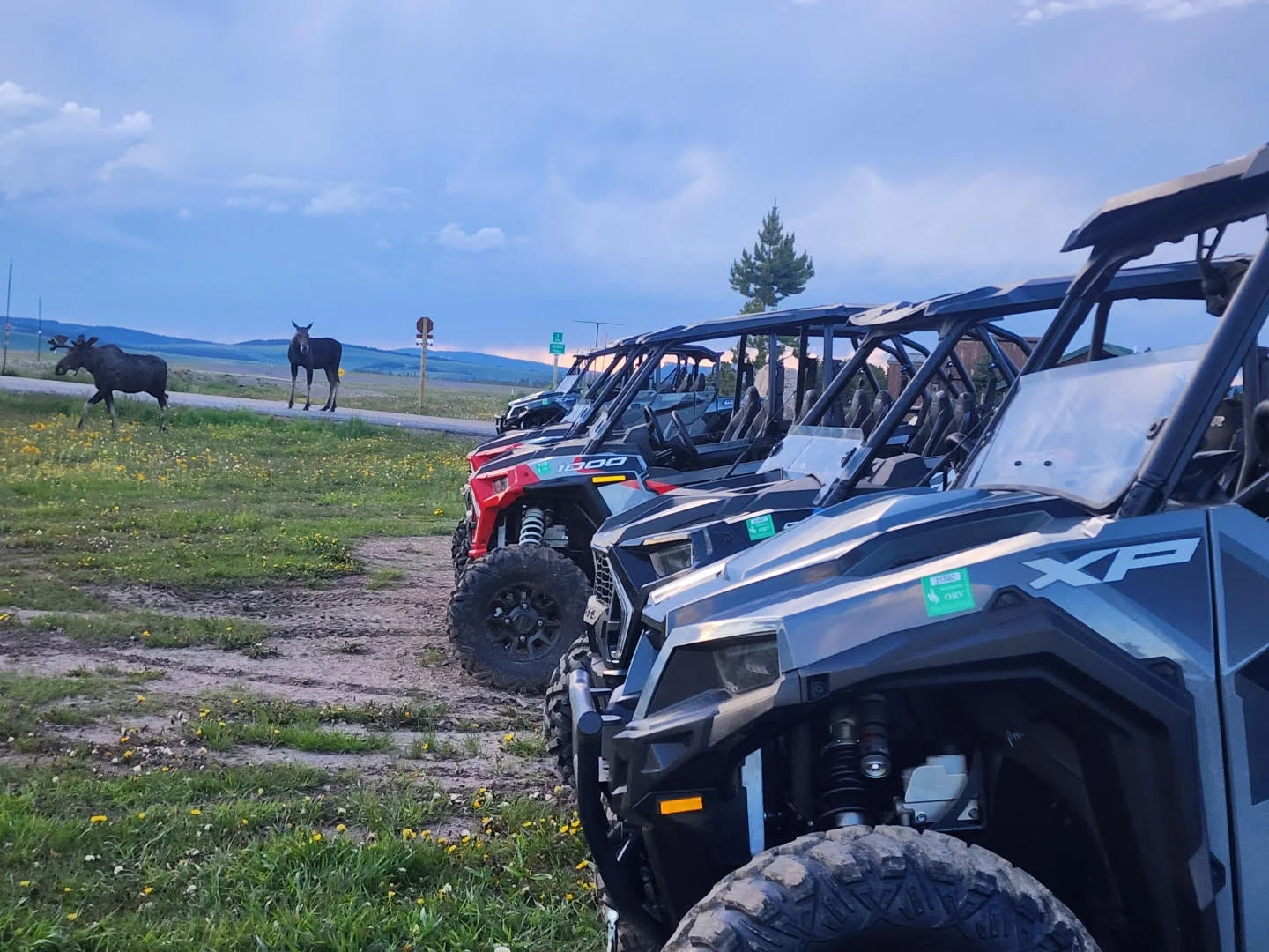 Moose/SxS Rentals